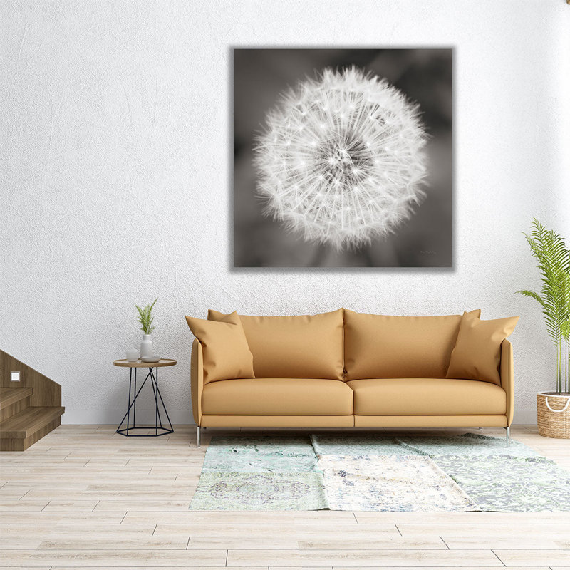 Tête de pissenlit noir et blanc - reproduction d'art sur toile, H 40 po x l 40 po