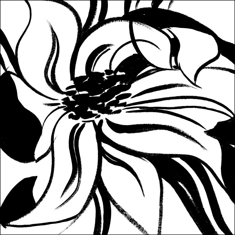 Mini Botanical Sketch I - Wrapped Canvas Print, 30cm H x 30cm W x 3.8cm D