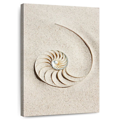 Brampt Nautilus Shell In Sand
