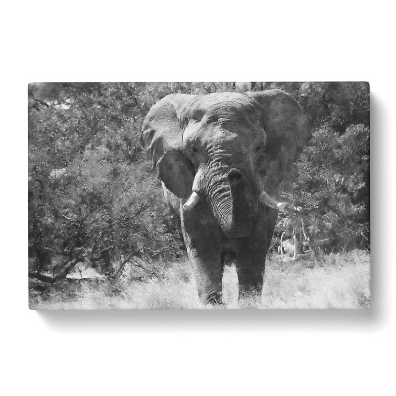 The Majestic Elephant Painting - Wrapped Canvas, 50cm H x 76cm W x 3cm D