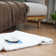 Alsha Washable Indoor Rug