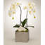 Orchid Faux Floral in Planter-1389730485