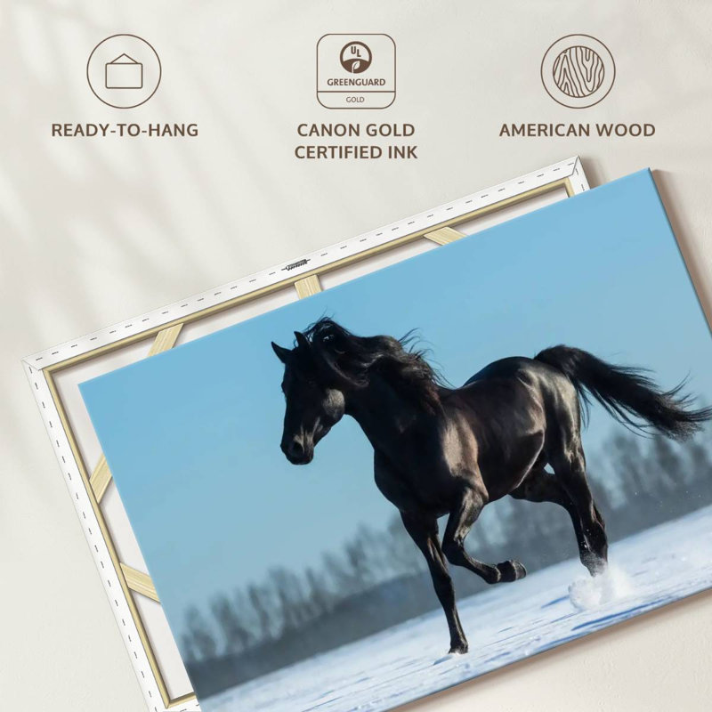 Brampt Purebred Spanish Horse, 30'' H x 45'' W