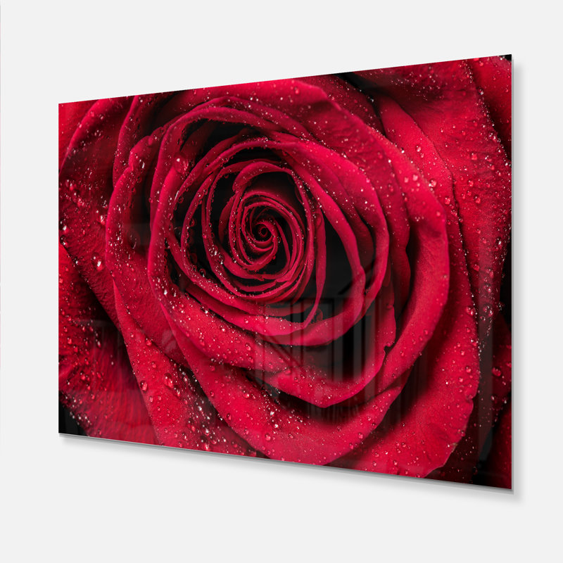 «Red Rose Petals with Rain Droplets», photographie, Métal métal, H 34 po x l 44 po x P 1 po