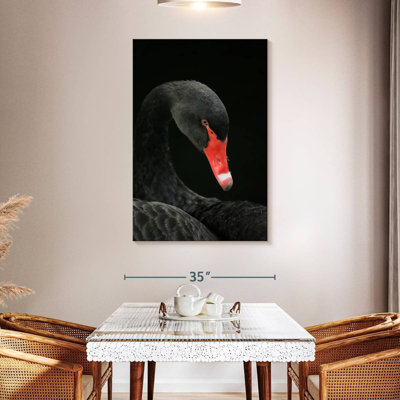 Brampt Black Swan Head