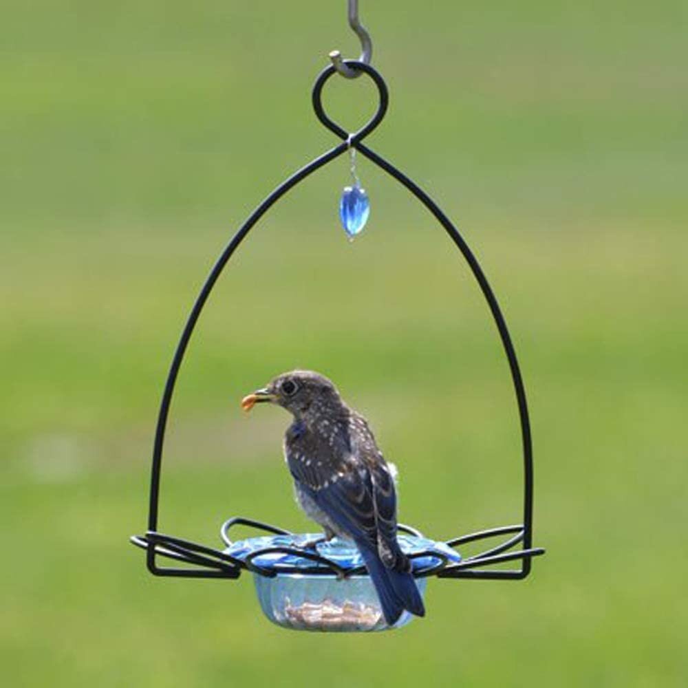 Kingsyard Bird Water Feeder, 16 Oz Glass Bird Water Dispenser Bird Waterer  with Metal Hanging for Garden Yard Outside Decoration, Blue