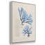 3 algues bleu marine IV-2010907146-2010907157
