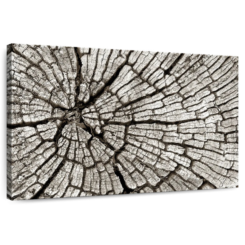 Souche d'arbre Alvord, H 8 po x l 12 po