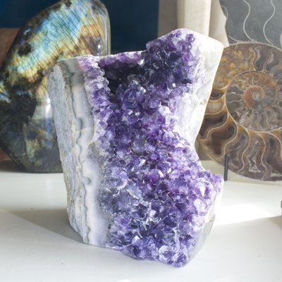 Dynamic, Cut Base Amethyst Geode