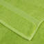 Neyan 100% Cotton Hand Towel-1244535343-1244535341