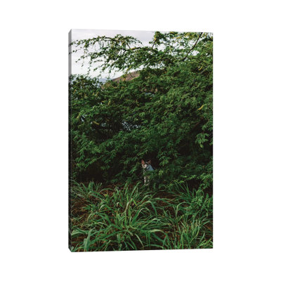 Hawaiian Cat 1 Piece Wall Art on Canvas