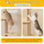 Scratching Post