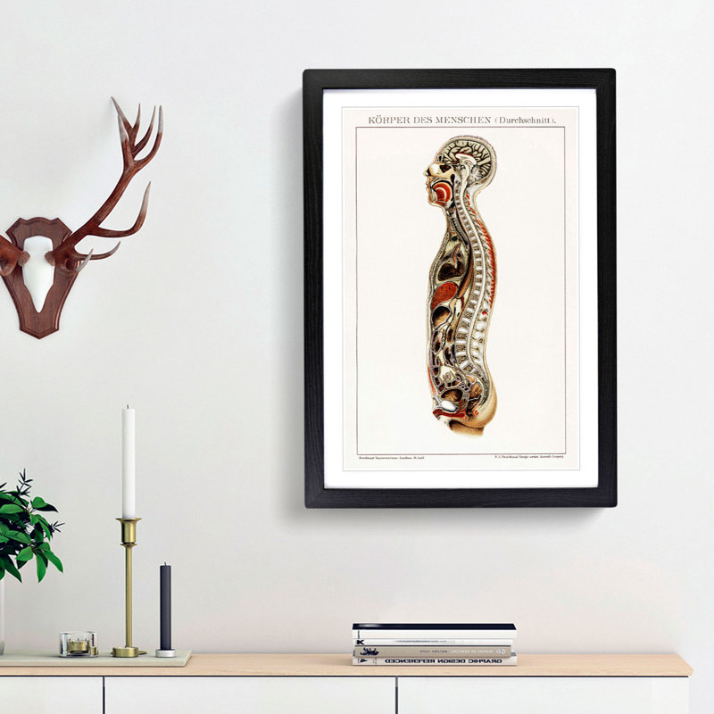 Anatomy of the Human Body - Picture Frame Painting Print, 36cm H x 27cm W x 2cm D, Black Framed