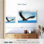 Aigle en vol-1366346650