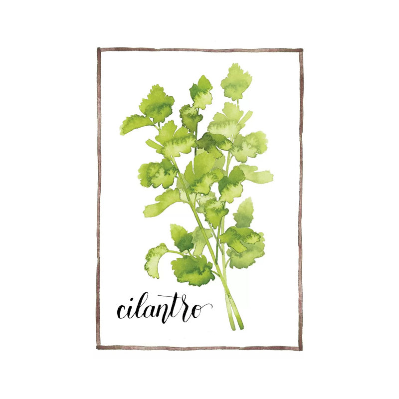 Watercolour Herbs IV - Wrapped Canvas Print, 101.6 cm H x 66.04 cm W