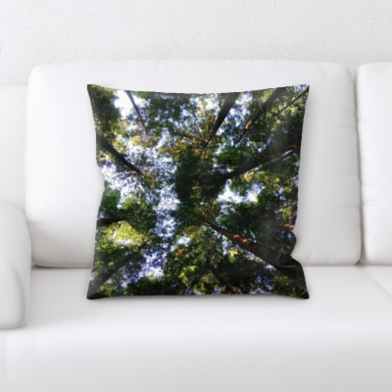Coussin décoratif