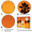 Golden Sunrise Palm Trees - Palmiers et palmiers, ensemble de reproduction d'art mural-107768528-107768536
