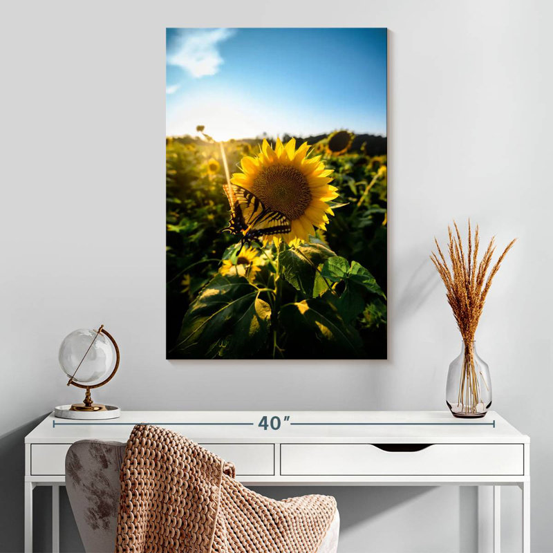 Harnek tournesol amour, H 30 po x l 20 po
