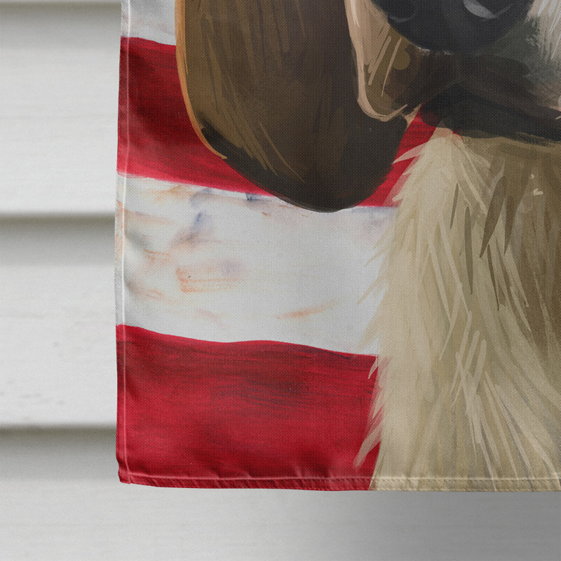 Polyester à 2 côtés 28 x 40 po drapeau maison, Grand anglo-français tricolore
