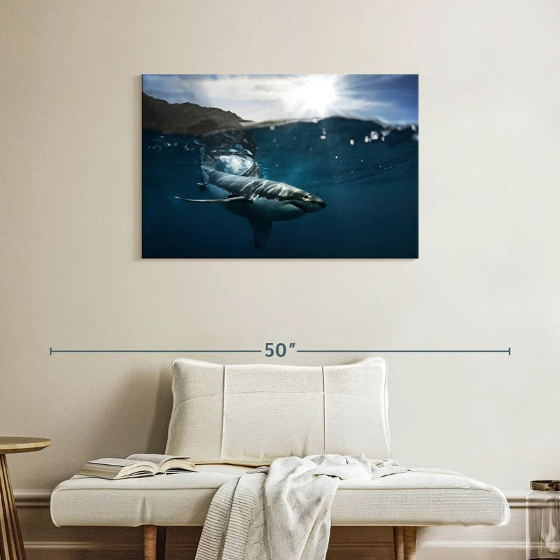 Brampt Shark Sunshine, 24" H x 36" W