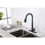 Robinet d'évier de cuisine à poignée simple avec douchette rétractable, composition en acier inoxydable, ton noir mat, buse à grande arche rotative à 360 °, trois modes de débit d'eau, jet, température pratique-124866737