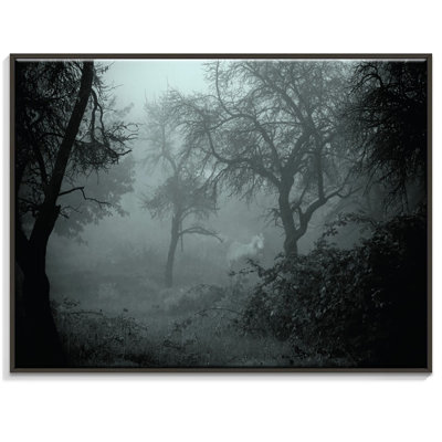Print on Canvas