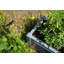 Planter Box