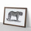 Leopard in Black & White by George Shaw - Framed Print-55617527-55617530
