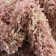 Rugs.com Ruby Trellis Shag Rug Light Pink
