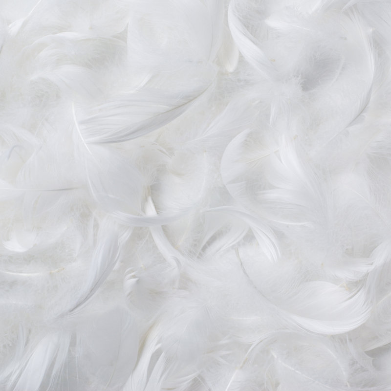 ROYAL ELITE Premium White Goose Feather & Down All-Season Duvet, Downmark Certified, Queen