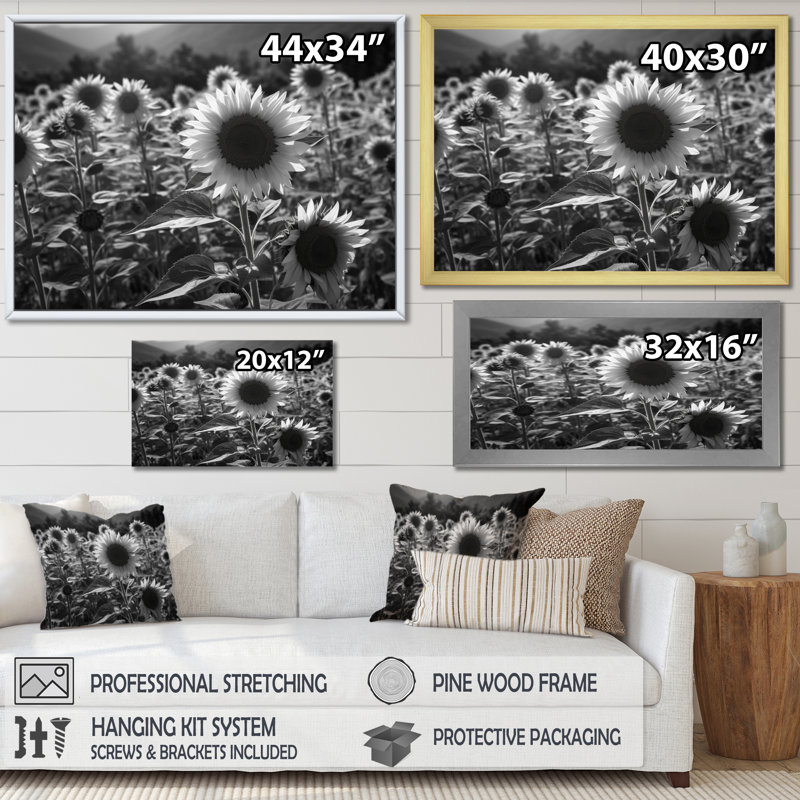 «Black White Sunflower Filed II - Floral», reproduction sur toile encadrée, H 16 po x l 32 po x P 1 po, Cadre photo noir