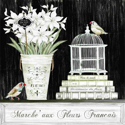 Amaryllis Still Life 2883720