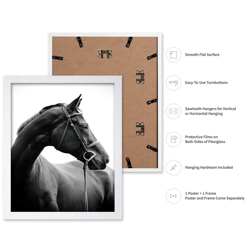 Portrait de cheval n ° 2, Poster, White Framed, 11"H x 14"W