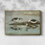 Vintage Animal XIX - impression-171266261-171266263