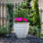 19" Wright Planter, 2-pack