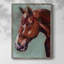 «Paint by Number Horse I», reproduction encadrée - bois massif-790315185