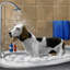 Wash Your Worries Away - Wrapped Canvas Painting-343319371