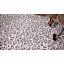 Tapis gris clair / noir Eagleview-1047030061