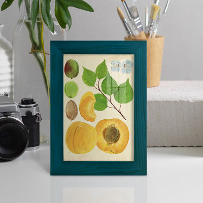 «Apricot Study II», reproduction d'art encadrée
