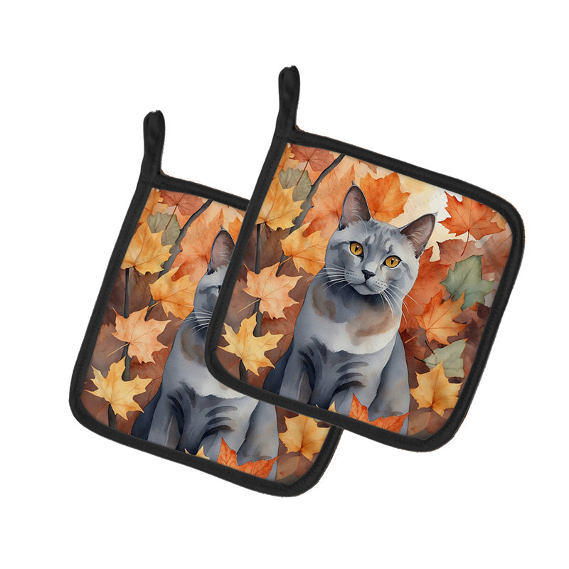 Paire de poignées pour chat Korat
