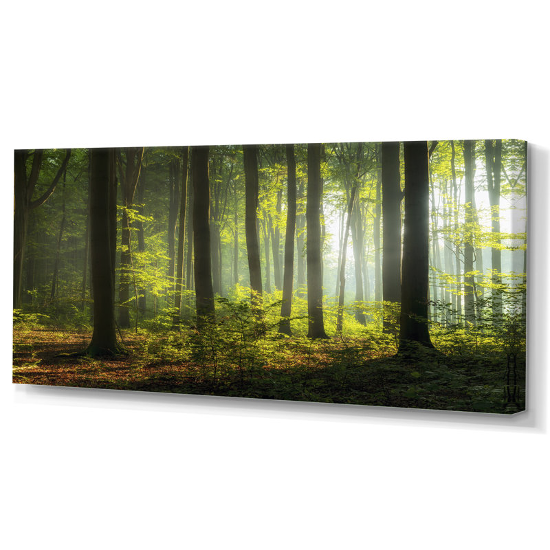 Mystic Morning Forest Sunrise - œuvre d'art sur toile traditionnelle, H 24 po x l 36 po x P 1 po, Toile tendue