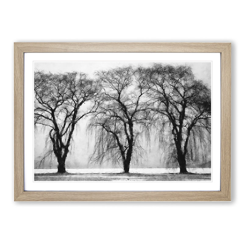 Three Trees at Winter - Framed Print, 27cm H x 36cm W x 2cm D, Oak