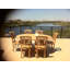 Celise Outdoor Teak Dining Side Chair