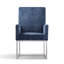 Chaise en velours Element-1241997718