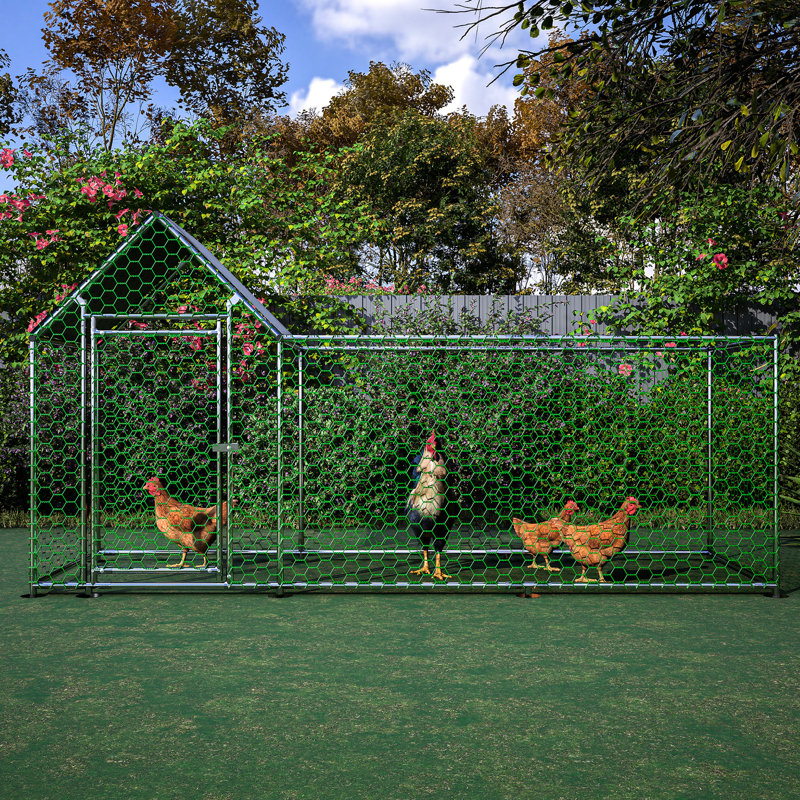 Parcours de poule 10 x 3 pi avec toit de barrière verrouillable en métal galvanisé pour construction et abri