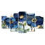 Art mural de jardin printanier, toile florale florale, ensemble de 5 explosion de jardin printanier