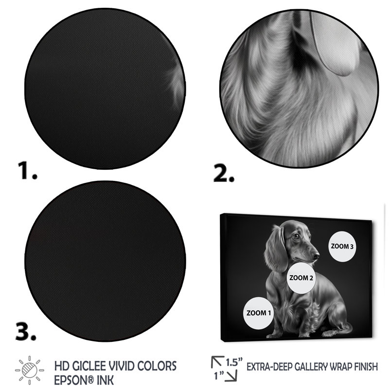 Pados noir et blanc Daschund - photographie sur toile, H 16 po x l 32 po x P 1 po, Toile avec cadre flottant noir