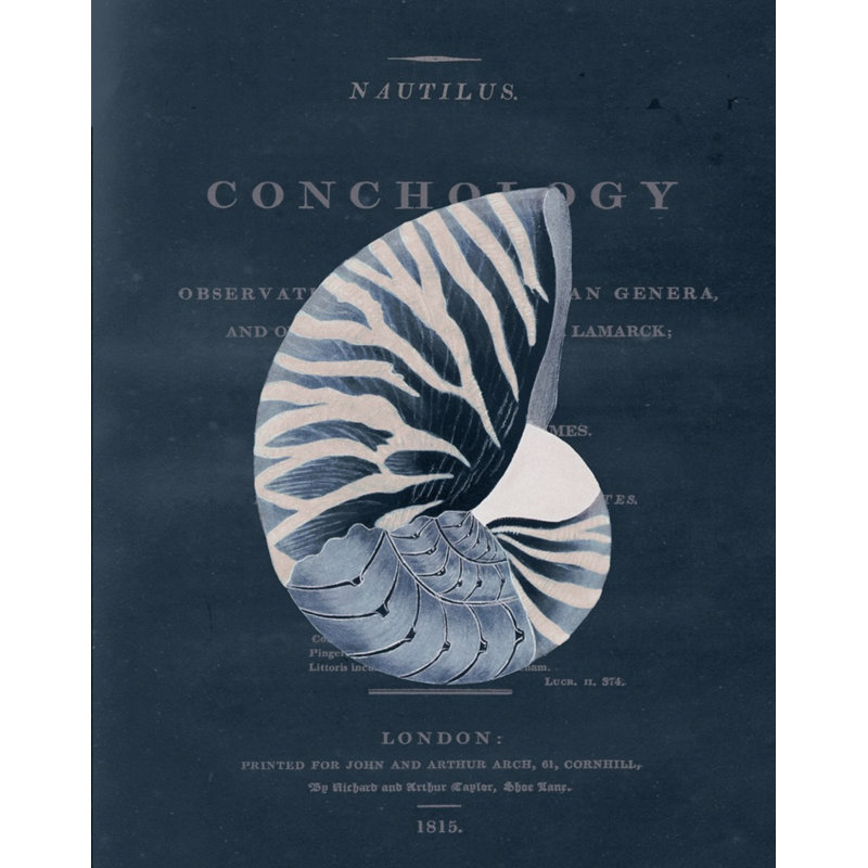 Conchology Nautilus Print by Porter Design
