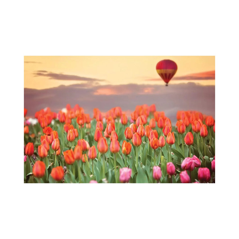 Tulip Field Hot Air Balloon 1 Piece Wrapped Canvas Wall Art, 30.48 cm H x 45.72 cm W