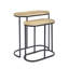 Ryleigh Frame Nesting Tables-1415389950